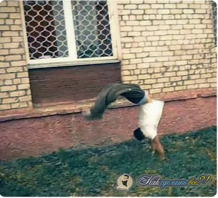 Как да направите видео движение
