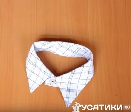 Как да си направим яка за котки със собствените си ръце, майсторски клас (правя) Как да си направим яка за котки със собствените си ръце, майсторски клас