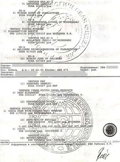 Как да си направим родословно дърво на кучето