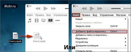 Как да изтеглите книгата в Iphone и IPAD - един от начините