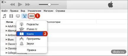 Как да изтеглите книгата в Iphone и IPAD - един от начините