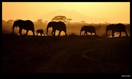 Как да направите снимка на перфектния залеза - 7 съвети