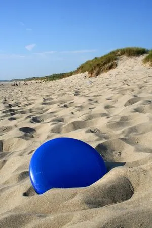 Mi Frisbee 1
