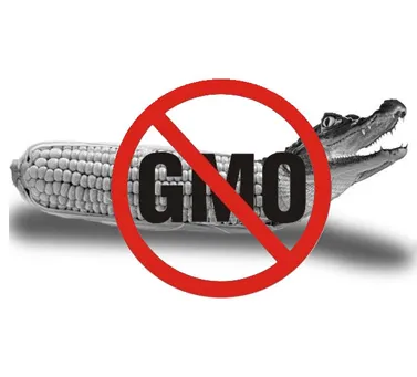 Mi a GMO
