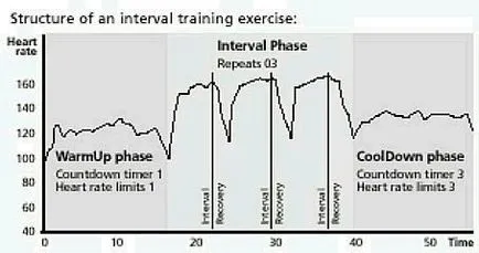 Mi intervallum edzés fitnesburg - fitness portál Jekatyerinburg