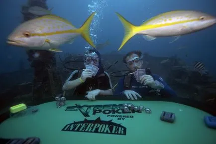 Mi a freeroll (freeroll) szakaszában a játék a freeroll