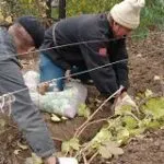 Как да изсъхне рибата у дома го прави дясната, въпроси и отговори