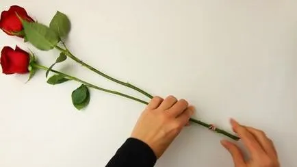 Как да изсъхне рози