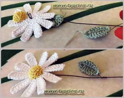 Как да завърже маргаритка
