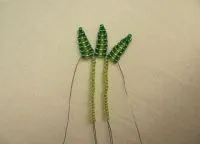 Cactus топчета