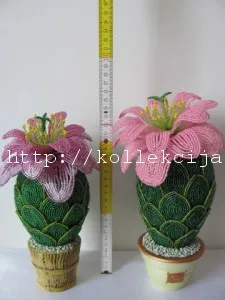 Cactus топчета с ръцете си, със собствените си ръце - онлайн списание