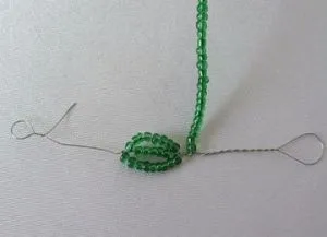 Cactus топчета