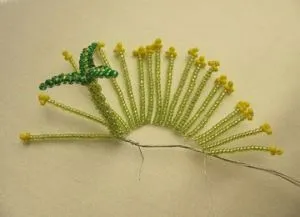 Cactus топчета