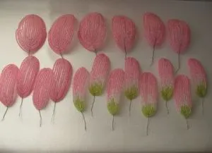 Cactus топчета