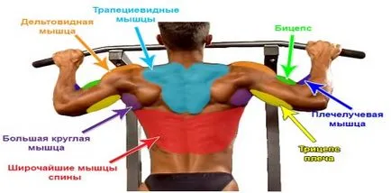 Как да се увеличи броят на набирания на бара от земята за кратко време