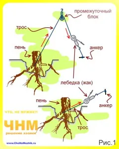Как да се изкорени дърво пън, корени на дървета, Съвети за майстори - съвети строители, майстори,
