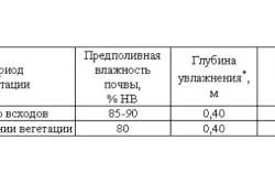 Как да расте репички в страната