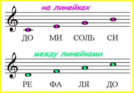 Как да се научите бележките с детето си