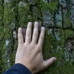 Както се говори вкъщи вода парцел вода (да говори) Как да говорим вода вкъщи вода парцел