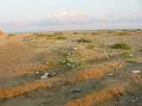 Както почина в Крим (Lyubimovka)