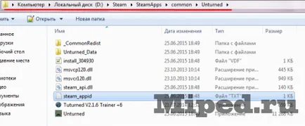 Както тече пара като игри и се завива в него игрално време (начало) Как да тече пара, тъй като играта и го мамят игрово време