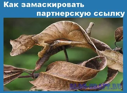 Как да се прикрие филиал (препратка) връзка