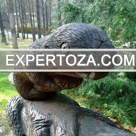 Как да защитим снимките си от копиране, expertoza