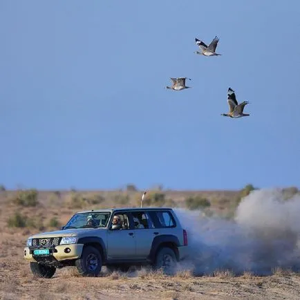 Как да живеем приказно богати Prince арабски емирства - infomania (Prince) Как да живеем приказно богати Prince арабски емирства - infomania