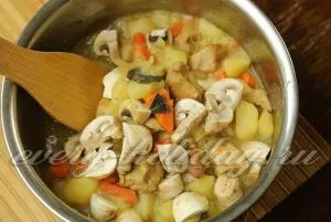 Картофена яхния с месо и гъби