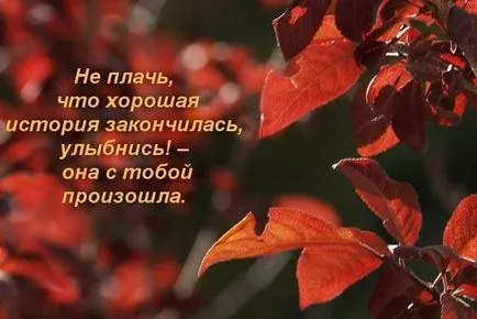 Снимки с цитати за живота