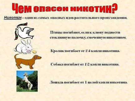 Снимки за опасностите от тютюнопушенето за студенти (ученици) Снимки за опасностите от тютюнопушенето за ученици