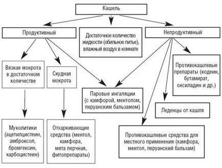 видове Кашлица, причини, симптоми, как да се лекува, отколкото да се лекува