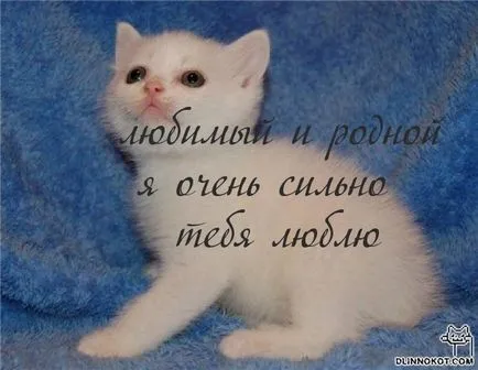Снимки с думите Обичам те (469 бр