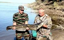 Когато ухапване щука и къде, защо да не хапе и на каква налягане най-добрият хапане