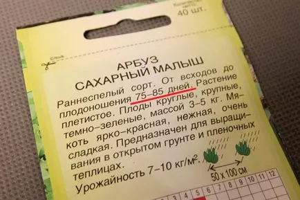 При засаждане на разсад диня - дати за засаждане, методи и инструкции стъпка по стъпка! (Стъпка по стъпка) При засаждане на разсад диня - дати за засаждане, методи и инструкции стъпка по стъпка!