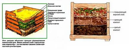 Компостът яма с техните възможности за производство ръце натрупаш, как да се направи, снимка (компост) Компостът яма с техните възможности за производство ръце натрупаш, как да се направи, фото