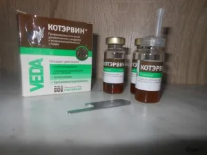Kotervin (капки) за кучета и котки, отзиви за употребата на наркотици на животни от ветеринарни лекари и