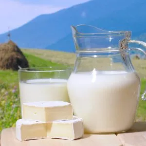 Козе сирене полезни и опасни свойства, храна и здраве