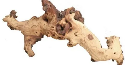 Driftwood в аквариума със собствените си ръце подбор, подготовка, обработка