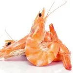 Скариди полза и вреда на този продукт (скариди) Скариди полза и вреда на този продукт
