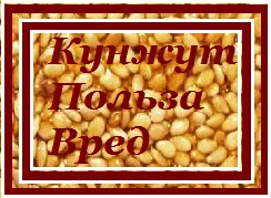 ползи и вреди сусам