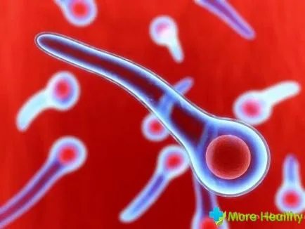 Къде правилата за ваксинация срещу тетанус инжекция точност и безопасност