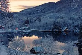 Mi Suomi