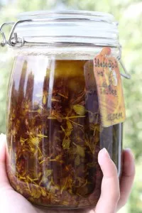 Лечение на витилиго с народни средства