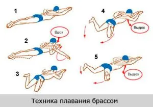 Терапевтична плуване в сколиоза 1, 2 и 3 степени на упражнения в басейна