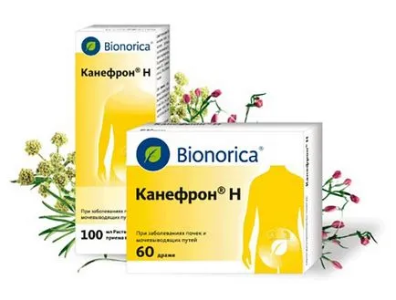 Наркотиците в пиелонефрит преглед на наличните лекарства