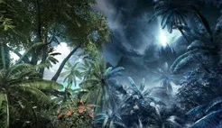 LCI, управление и предаване на Crysis
