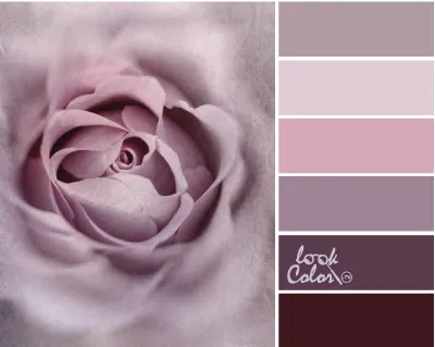 Purple и се смесват с тях, lookcolor