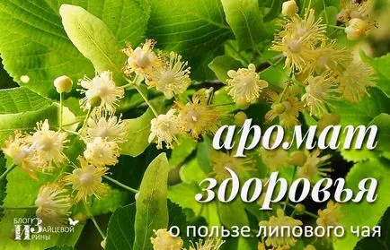 Linden чай