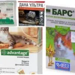 Топ Капки от бълхи за котки, котенца и котки (котенца) Топ Капки от бълхи за котки, котенца и котки